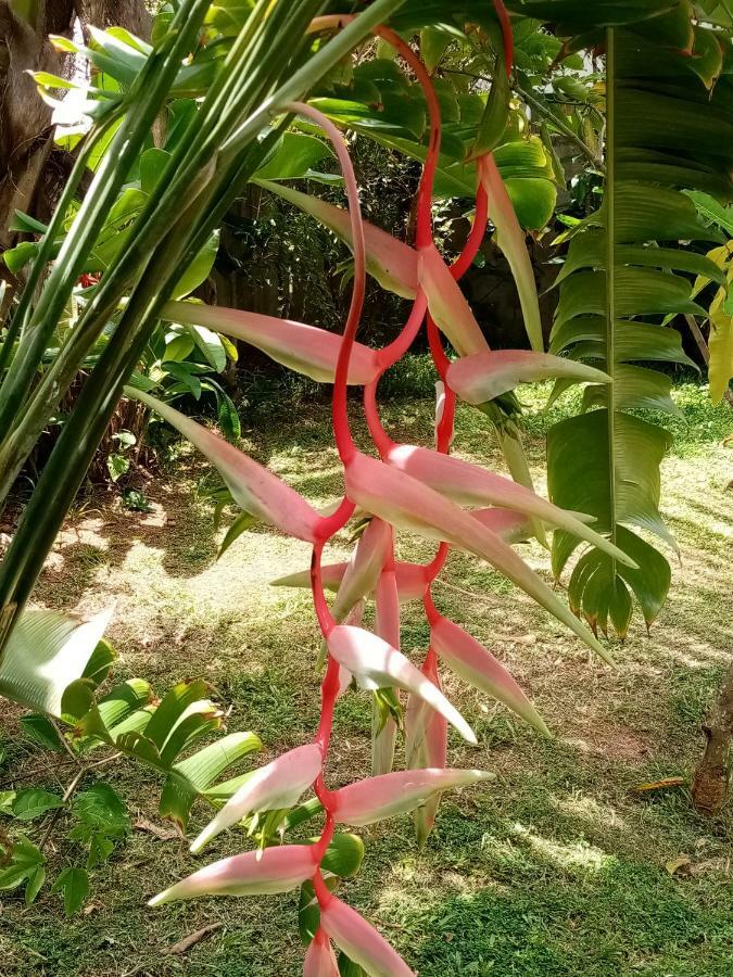Hotel Indigo Unawatuna Eksteriør bilde